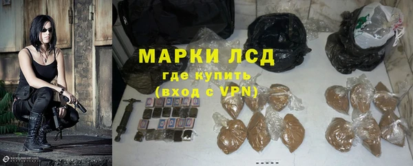 гидра Аркадак