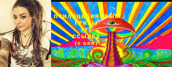 спиды Арсеньев